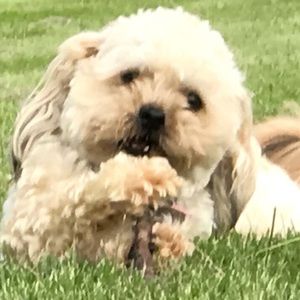 Meet your Posher, Scott